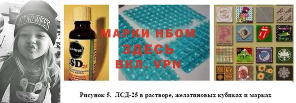 ГАЛЛЮЦИНОГЕННЫЕ ГРИБЫ Алексеевка