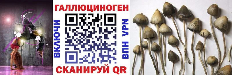 Галлюциногенные грибы ЛСД  гидра зеркало  Яблоновский 